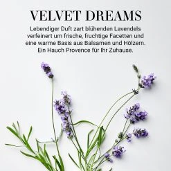 Butlers Raumduft No 3 "Velvet Dreams" 250ml HOME & SOUL In Transparent -Schiesser Shop butlers raumduft no 3 velvet dreams 250ml home and soul in transparent 1