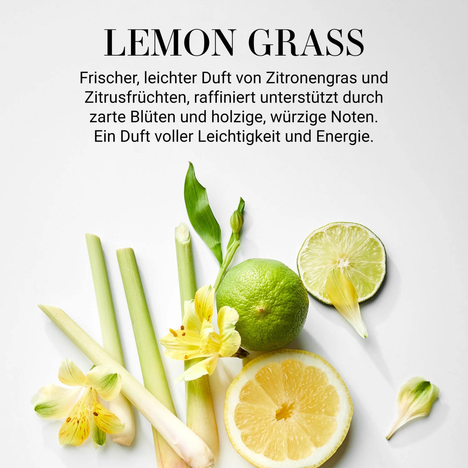 Butlers Raumduft No 4 "Lemon Grass" 110ml HOME & SOUL In Transparent 5 Butlers Raumduft No 4 "Lemon Grass" 110ml HOME & SOUL In Transparent – Bild 3