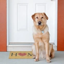 Relaxdays Fußmatte "Home" In Bunt - (B)60 X (T)40 Cm 12 Relaxdays Fußmatte "Home" In Bunt - (B)60 X (T)40 Cm -Schiesser Shop relaxdays fussmatte home in bunt b 60 x t 40 cm 2