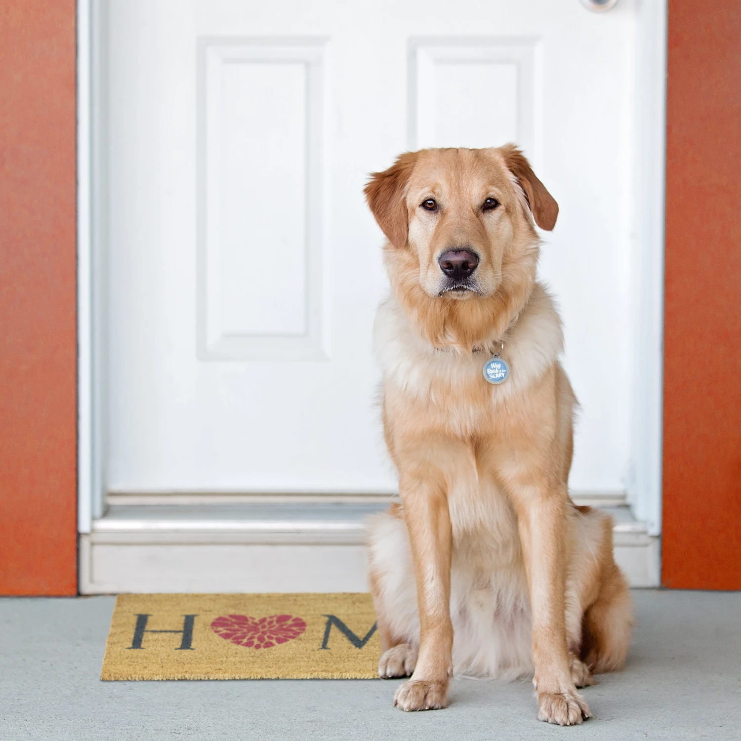 Relaxdays Fußmatte "Home" In Bunt - (B)60 X (T)40 Cm 5 Relaxdays Fußmatte "Home" In Bunt - (B)60 X (T)40 Cm – Bild 3