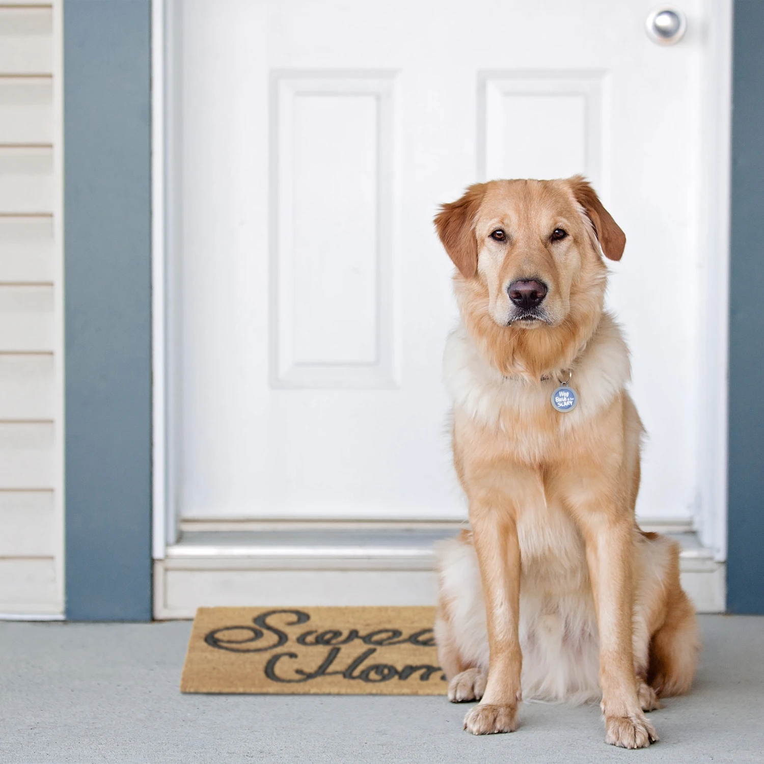 Relaxdays Fußmatte "Sweet Home" In Natur/ Schwarz - (B)60 X (T)40 Cm 7 Relaxdays Fußmatte "Sweet Home" In Natur/ Schwarz - (B)60 X (T)40 Cm – Bild 5